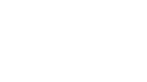 TxDOT Logo